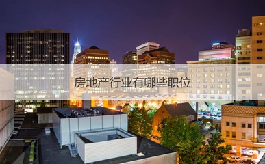 南寧振寧房地產概況與房地產銷售、策劃代理入門指南